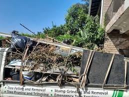 Best Same-Day Junk Removal Services  in Apopka, FL